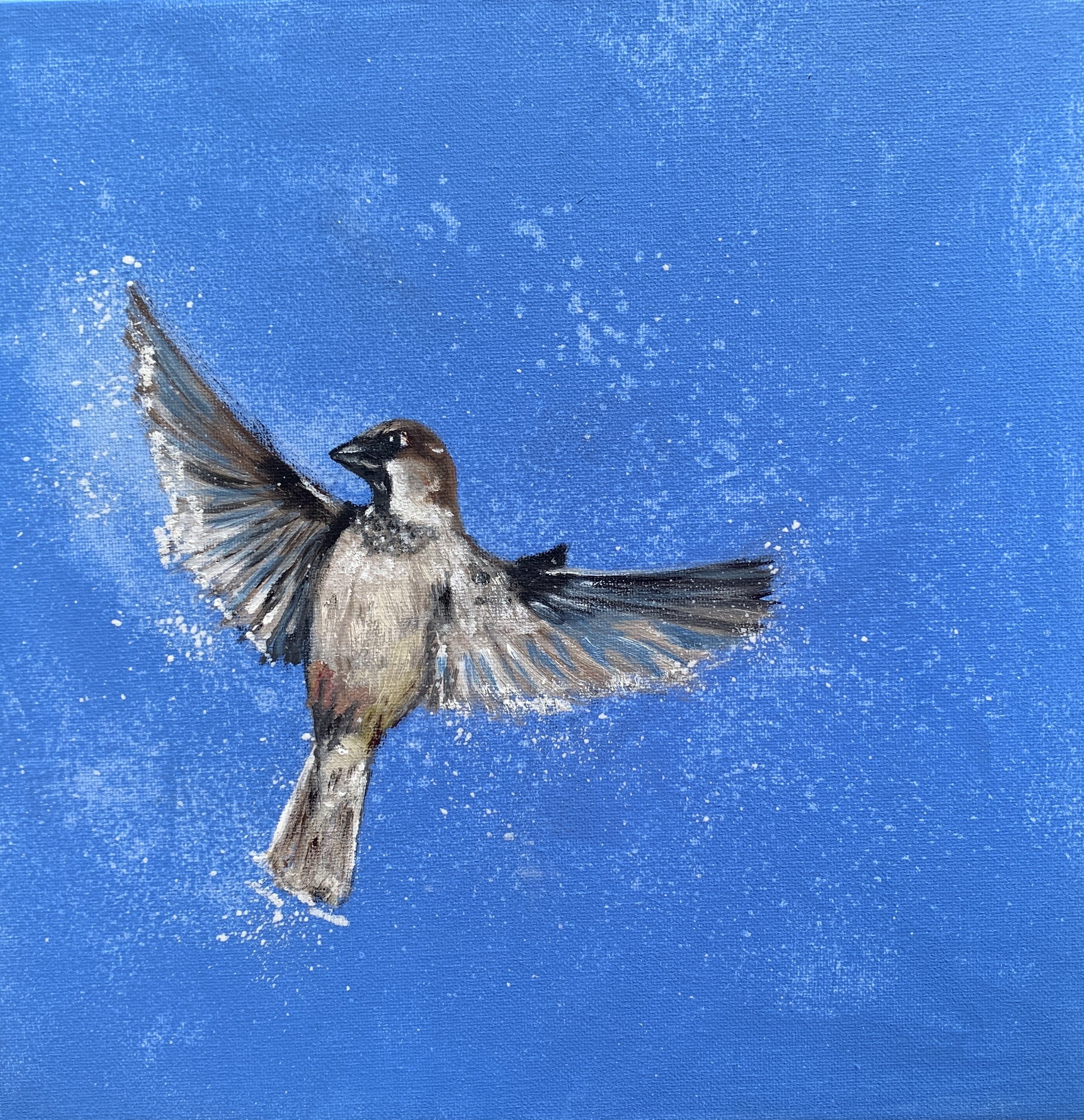 Topic Sparrow paintings