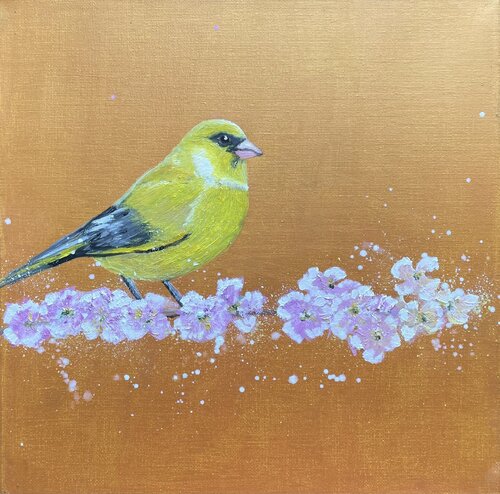 Greenfinch on Cherry Blossom by Laure Bury, Painting for Sale on Select