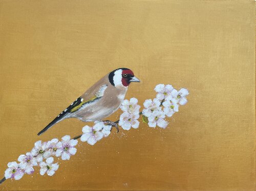 Goldfinch and Cherry Blossom by Laure Bury, Painting for Sale on Select