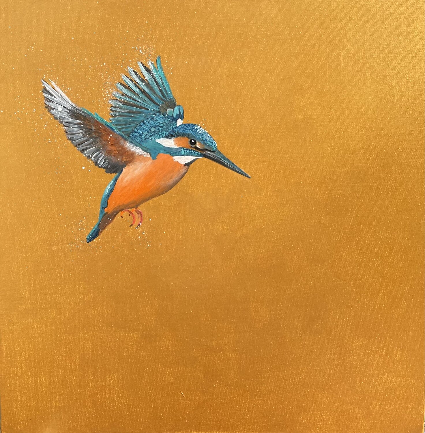 Kingfisher in Flight Laure Bury Original painting for sale