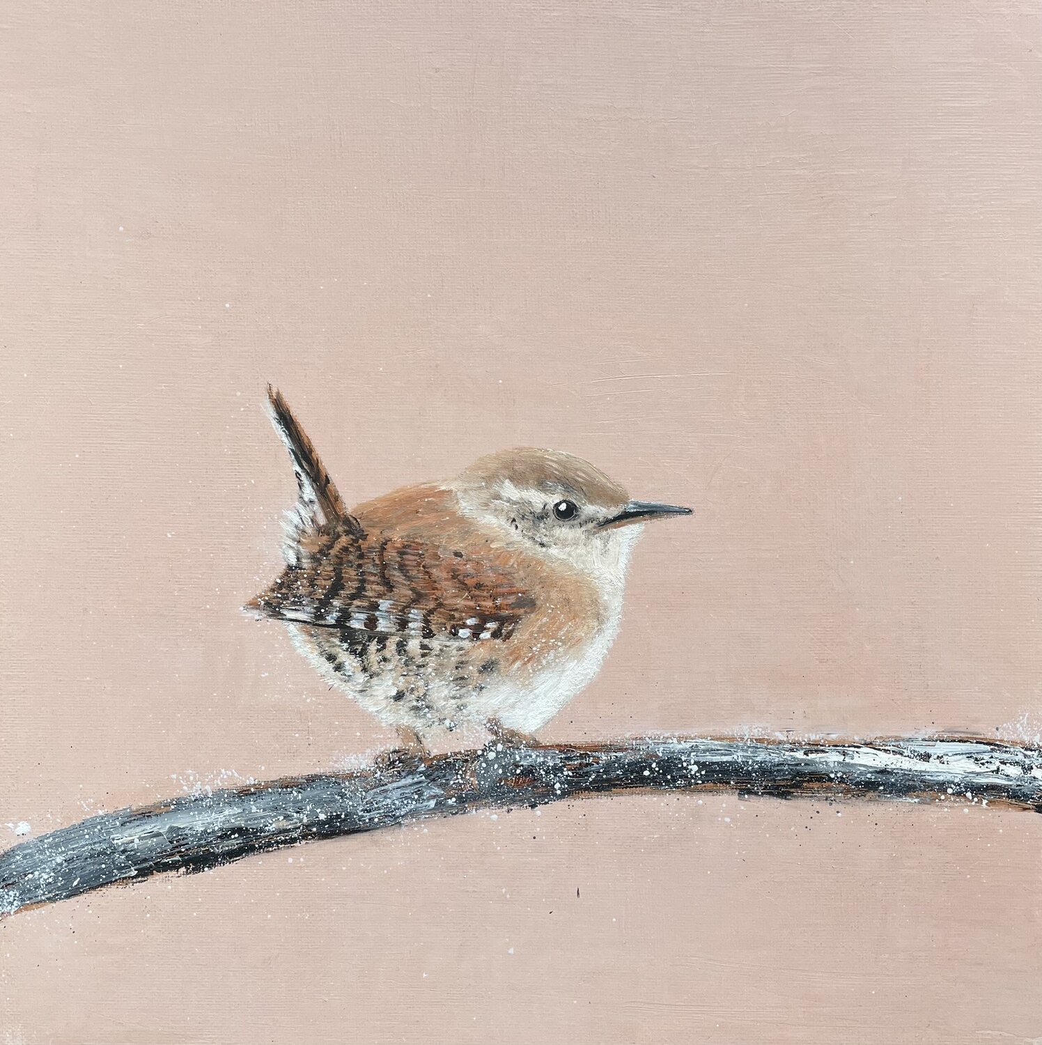 Jenny Wren II Laure Bury Original painting for sale