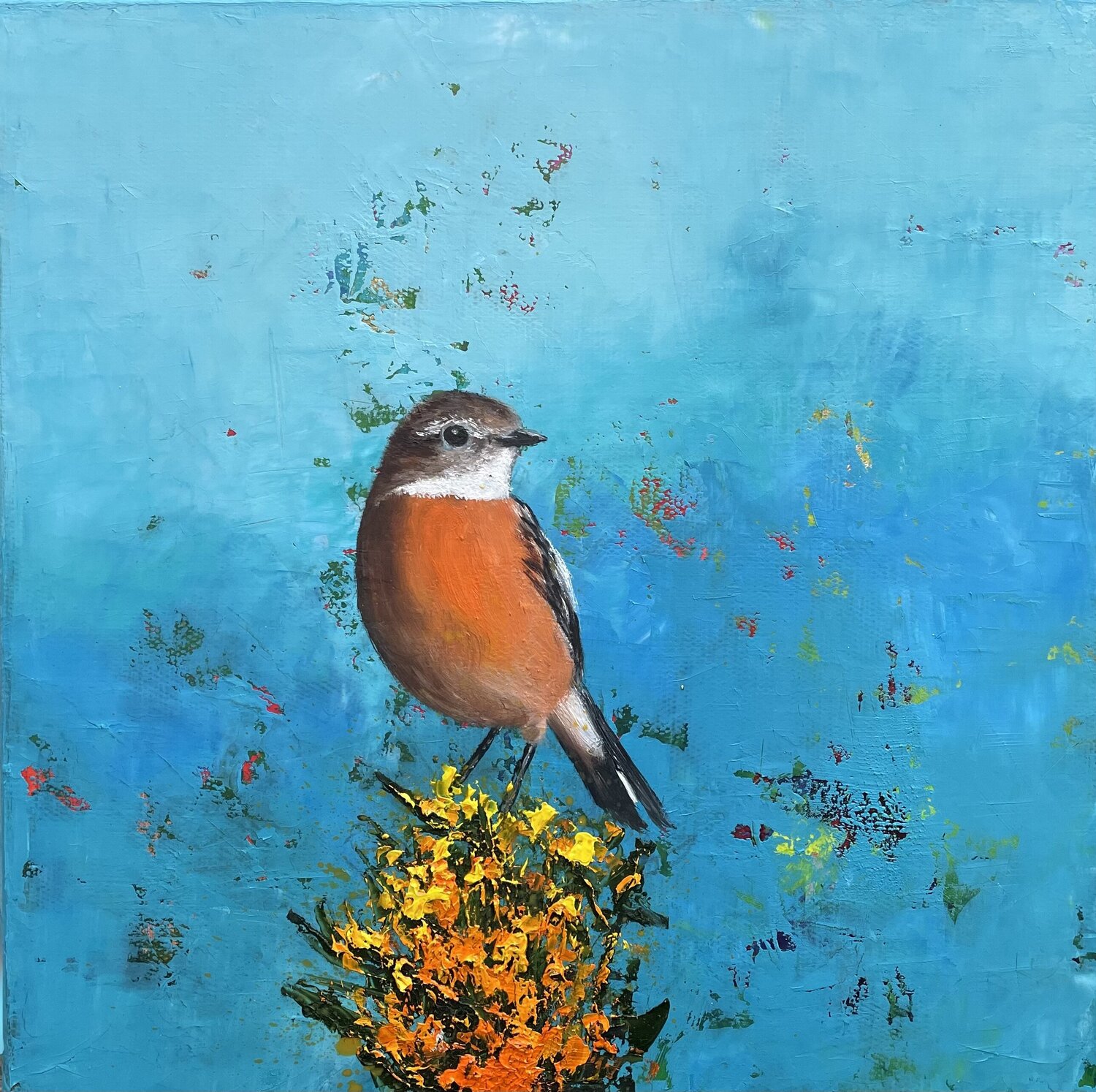 Stonechat on Gorse Laure Bury Original painting for sale