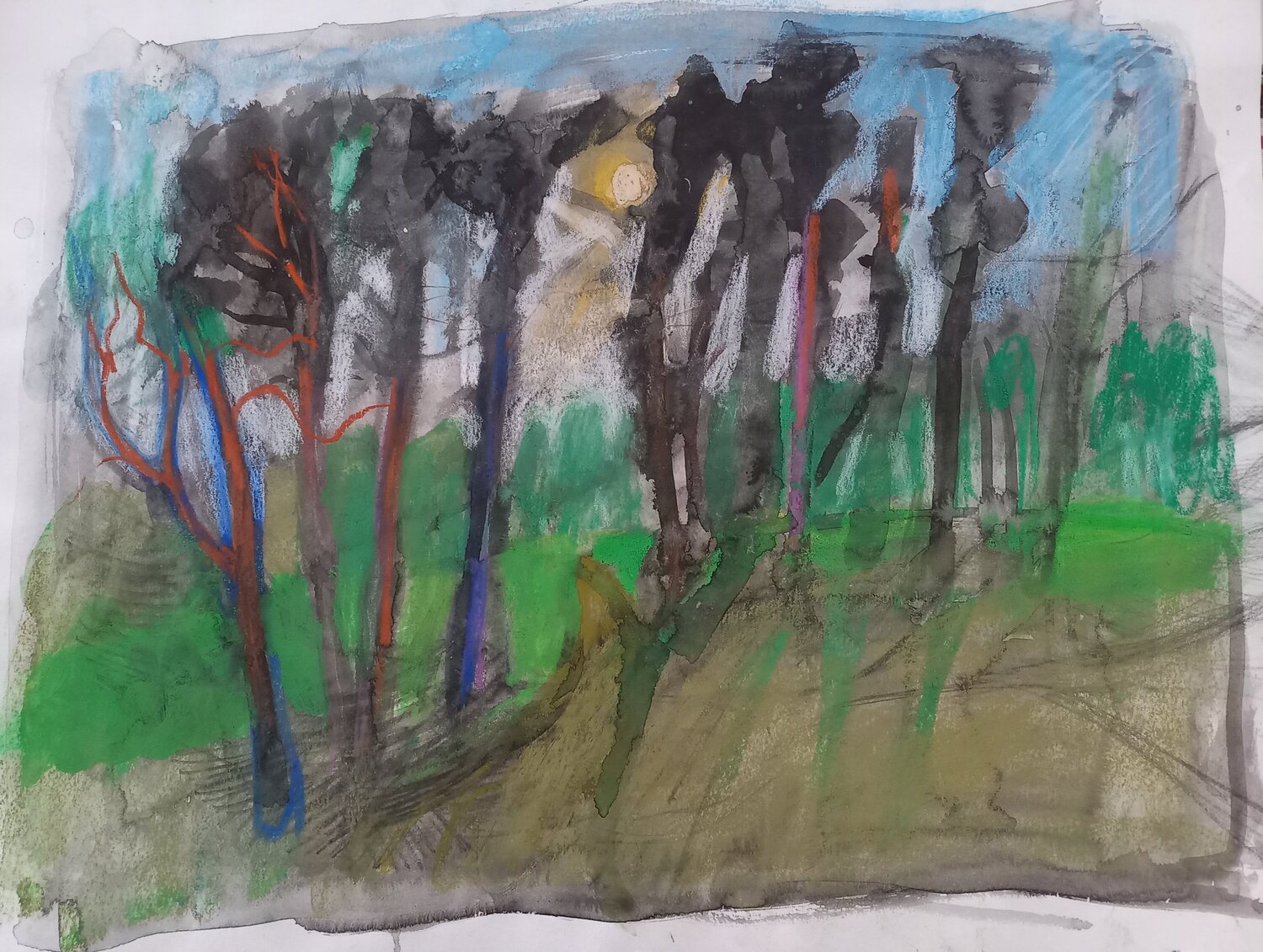 Pine forest in August Irina Seller Drawing for sale