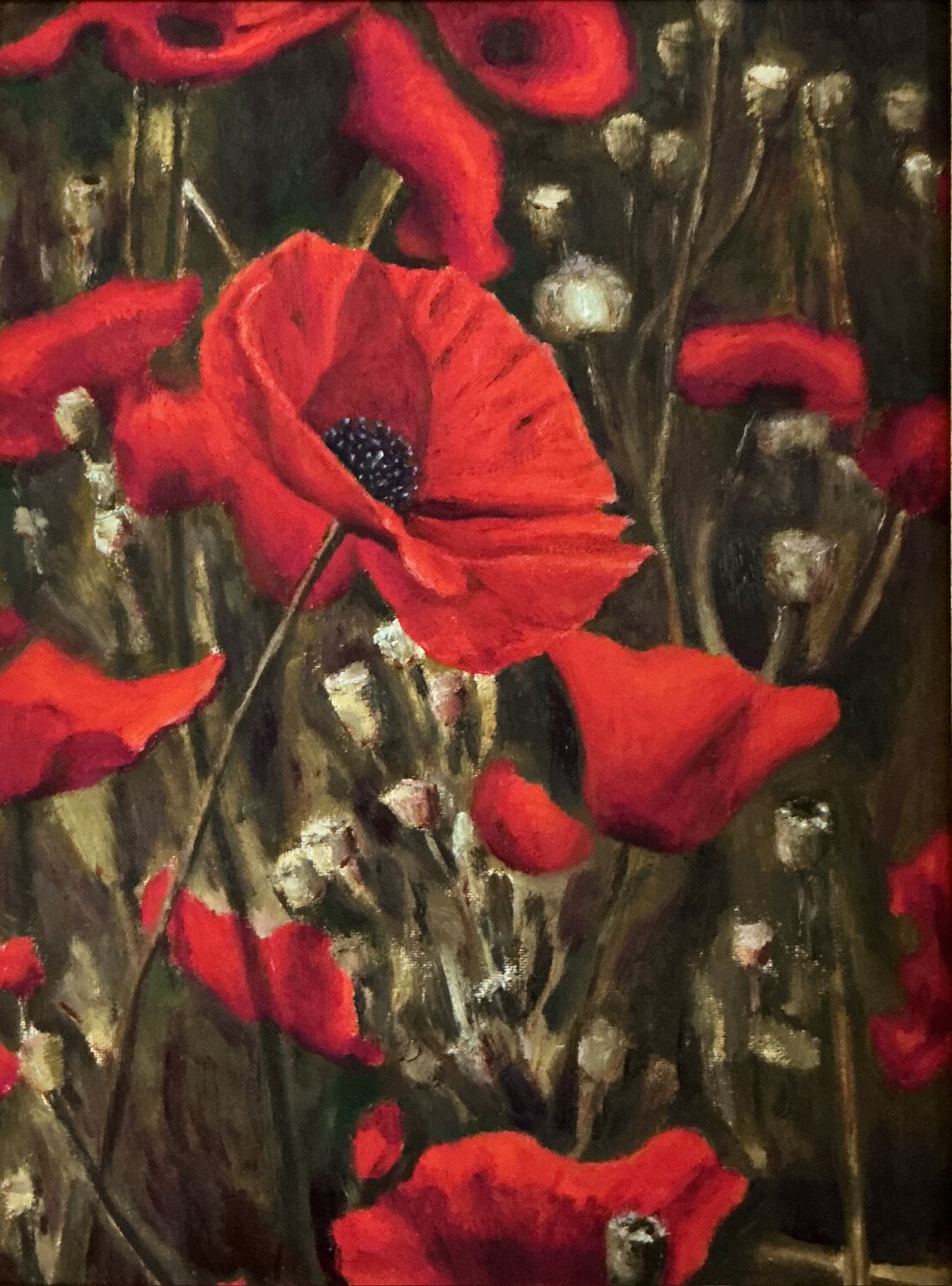 Poppies Thomas Sipos Original painting for sale