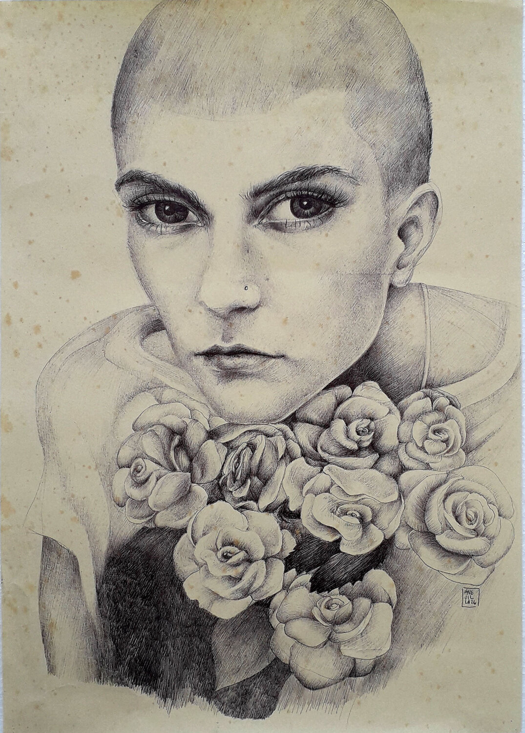 Sinéad Anguilla Ink Drawing for sale