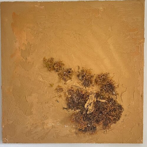 TERRA ARSA by Valentina Mistretta, Painting for Sale on Select