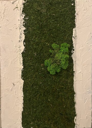 Muschio 2.0 by Valentina Mistretta, Painting for Sale on Select