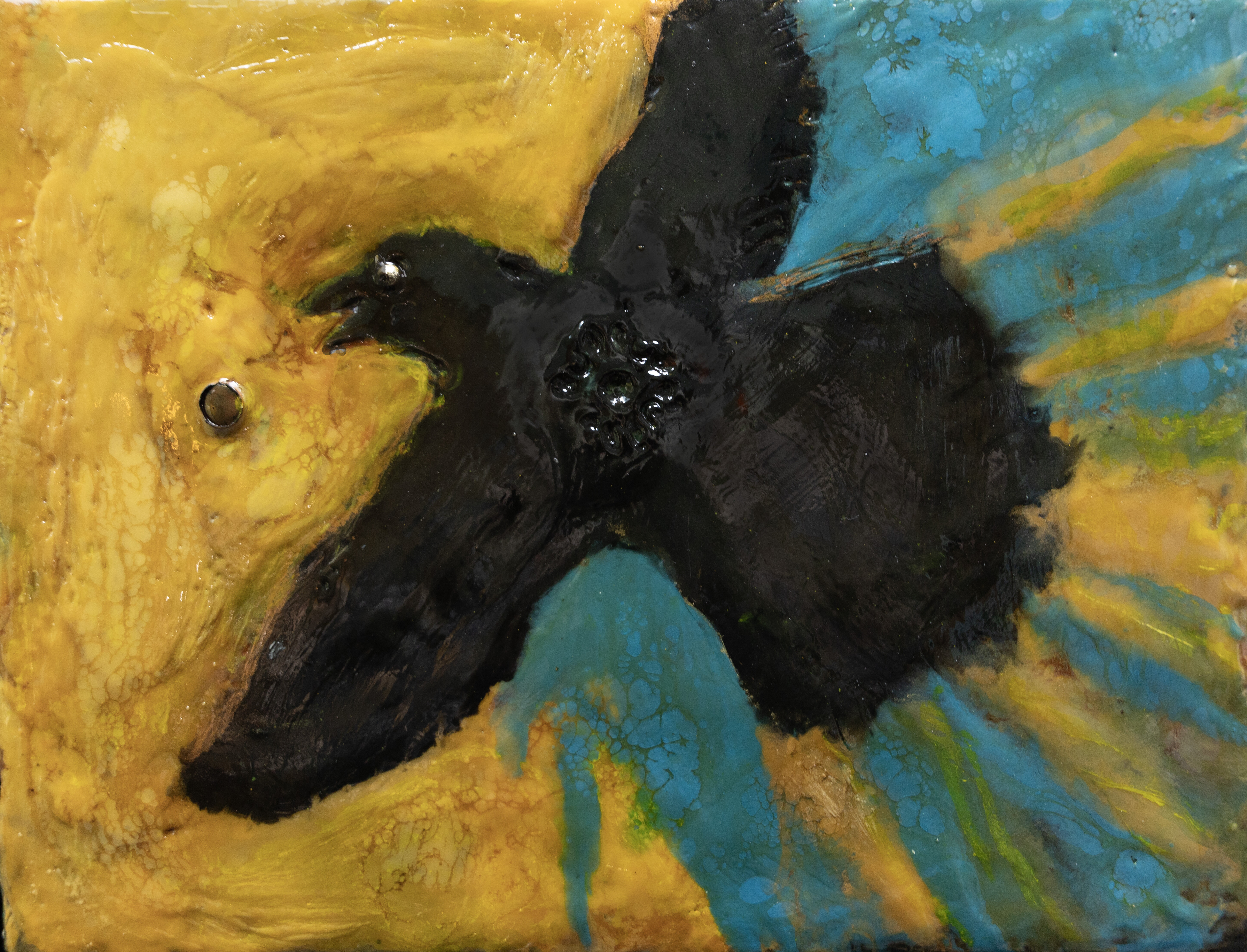Topic Blackbird paintings