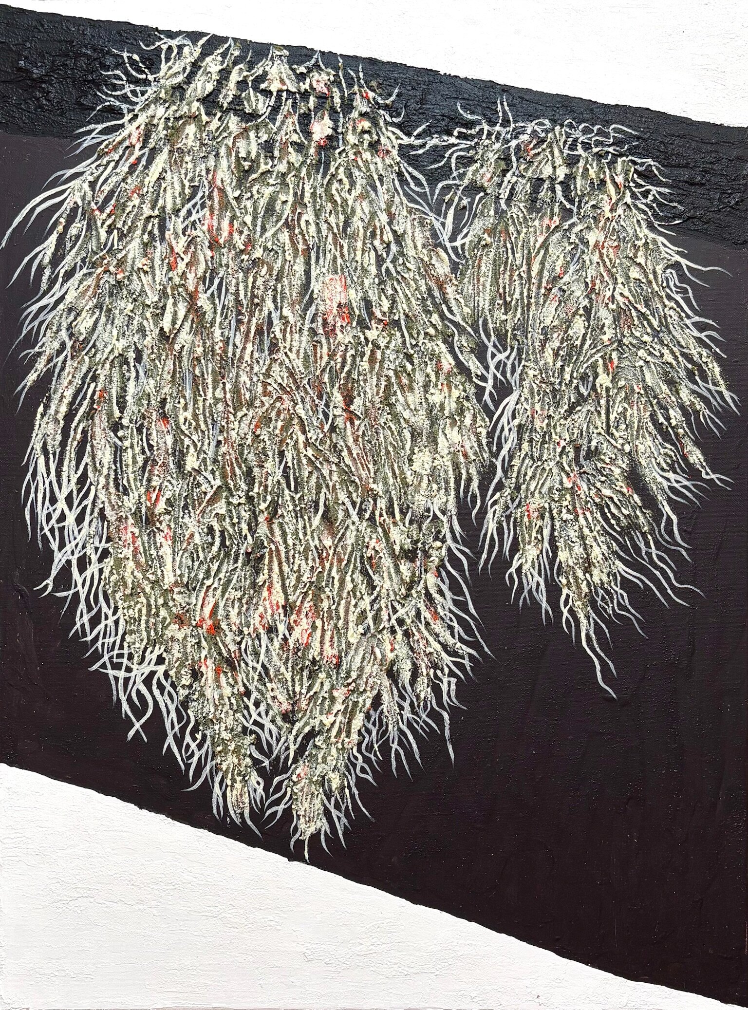Lichen