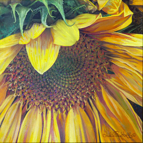 Sunflower 1 by Julie Pace Hoff, Painting for Sale on Select