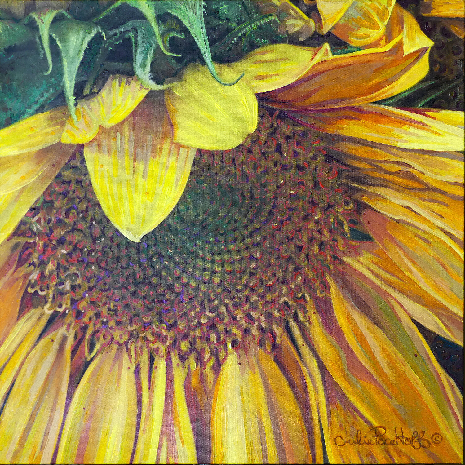 Sunflower 1 Julie Pace Hoff Original painting for sale