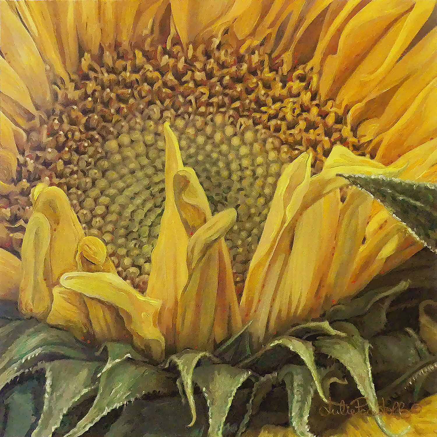 Sunflower 2 Julie Pace Hoff Original painting for sale