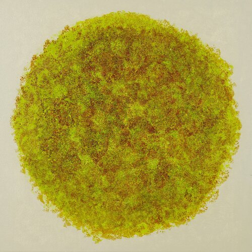 Growth no. 2545 by Klara Gunnlaugsdottir, Painting for Sale on Select