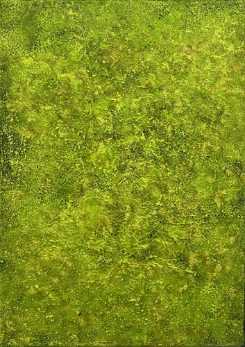 Green Moss Art no. 2553 by Klara Gunnlaugsdottir, Painting for Sale on Select