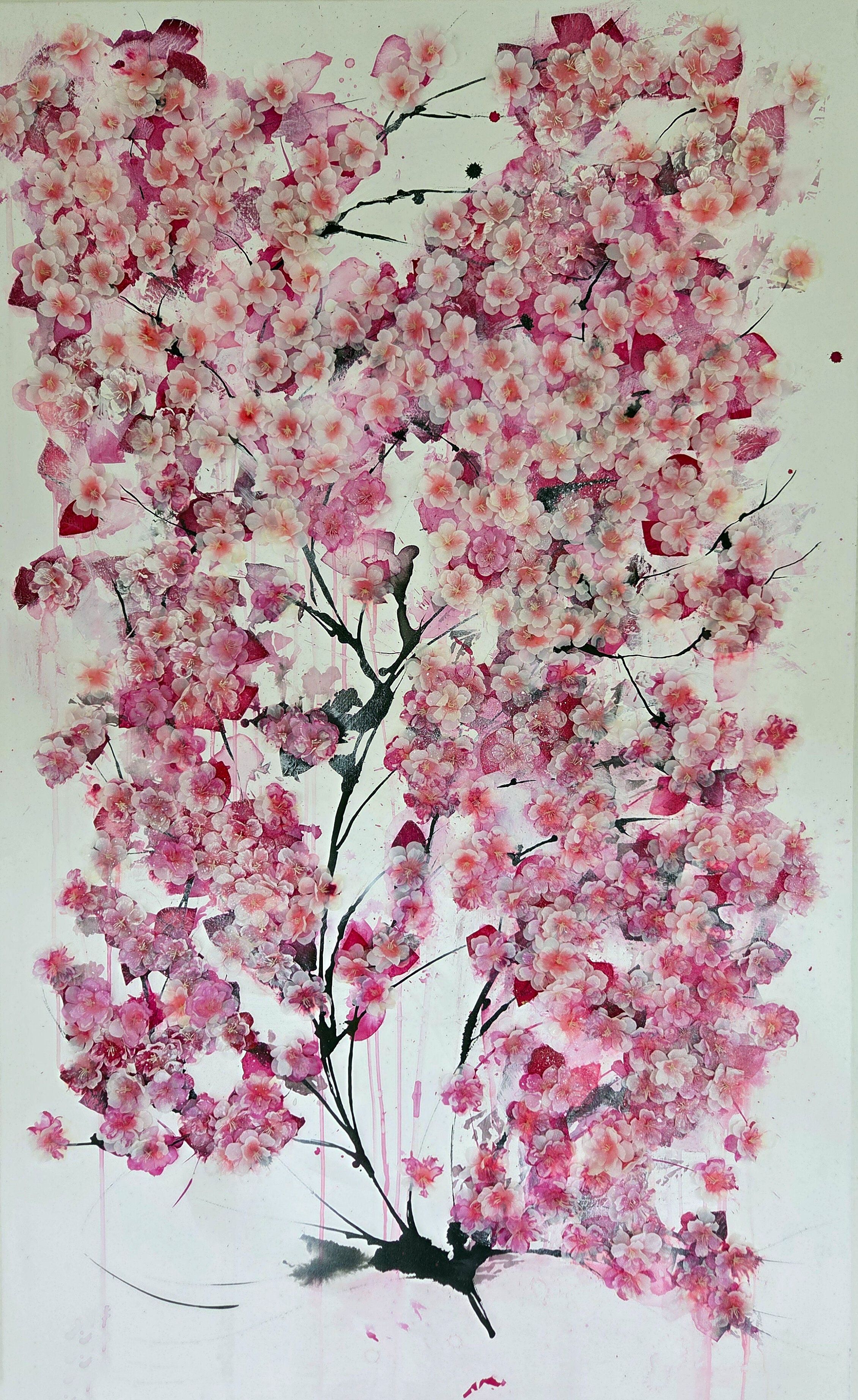 cerisier en fleur