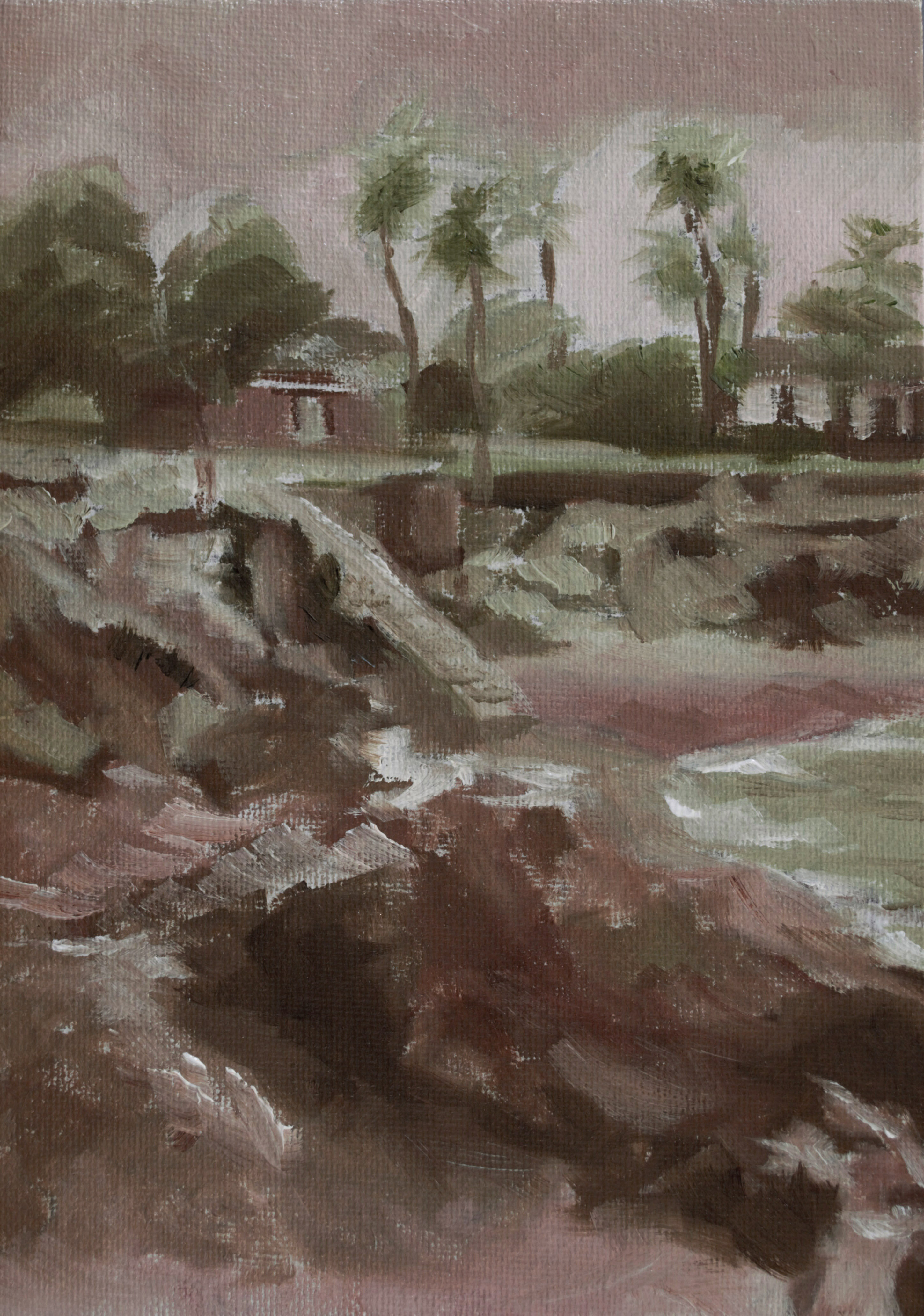 On the Rocks in La Jolla Cove