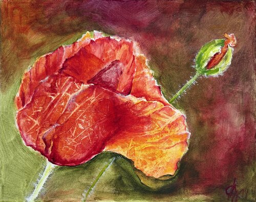 Serie „Im Erblühen“ Mohnknospe by Andrea Grube, Painting for Sale on Select