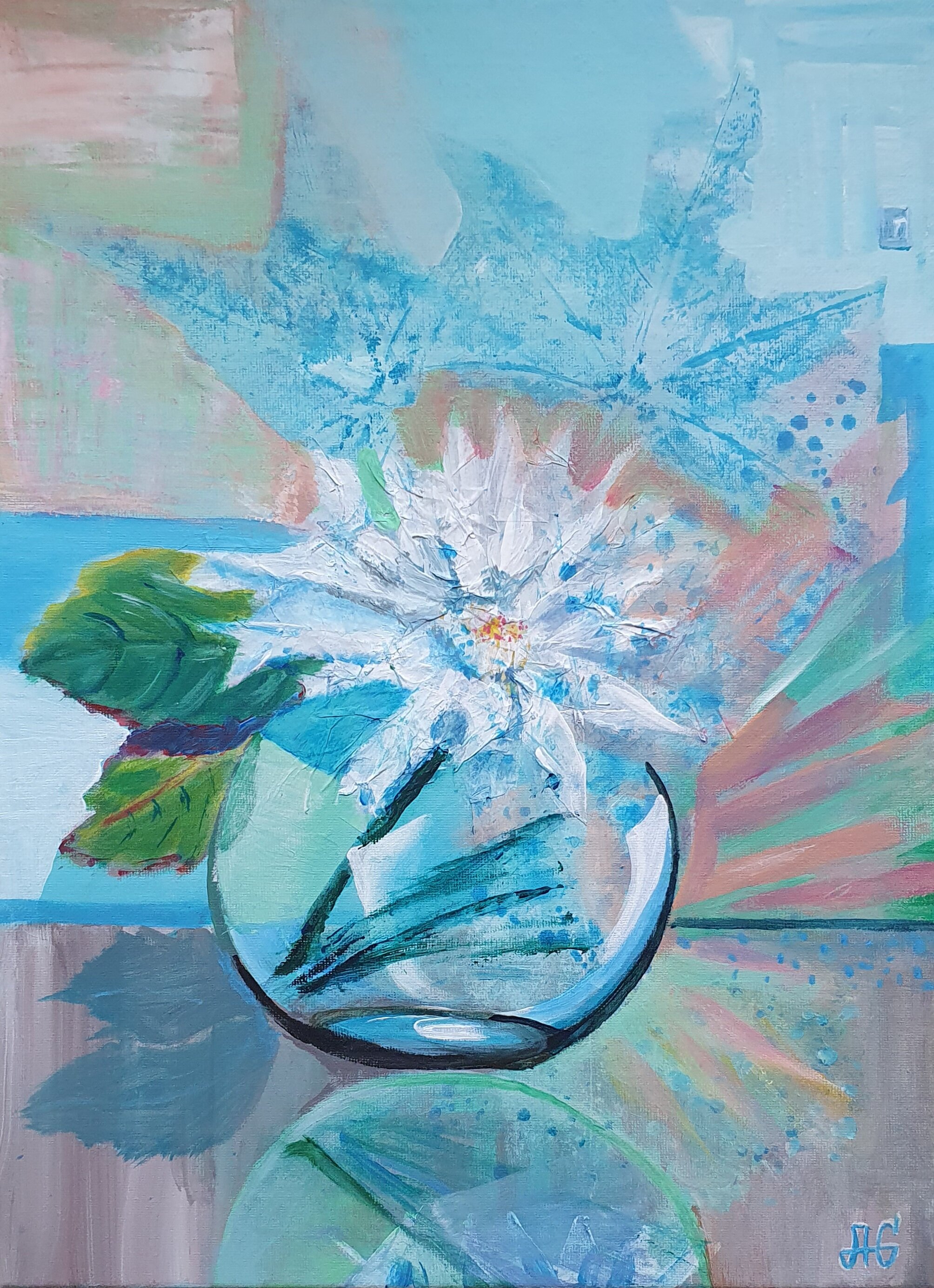 Snow froze on the Petals. Chrysanthemum.