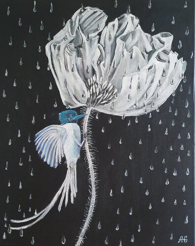 Black and White Rain by Galyna Antonenko, Painting for Sale on Select