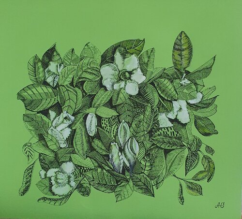Gardenia. by Galyna Antonenko, Drawing for Sale on Select
