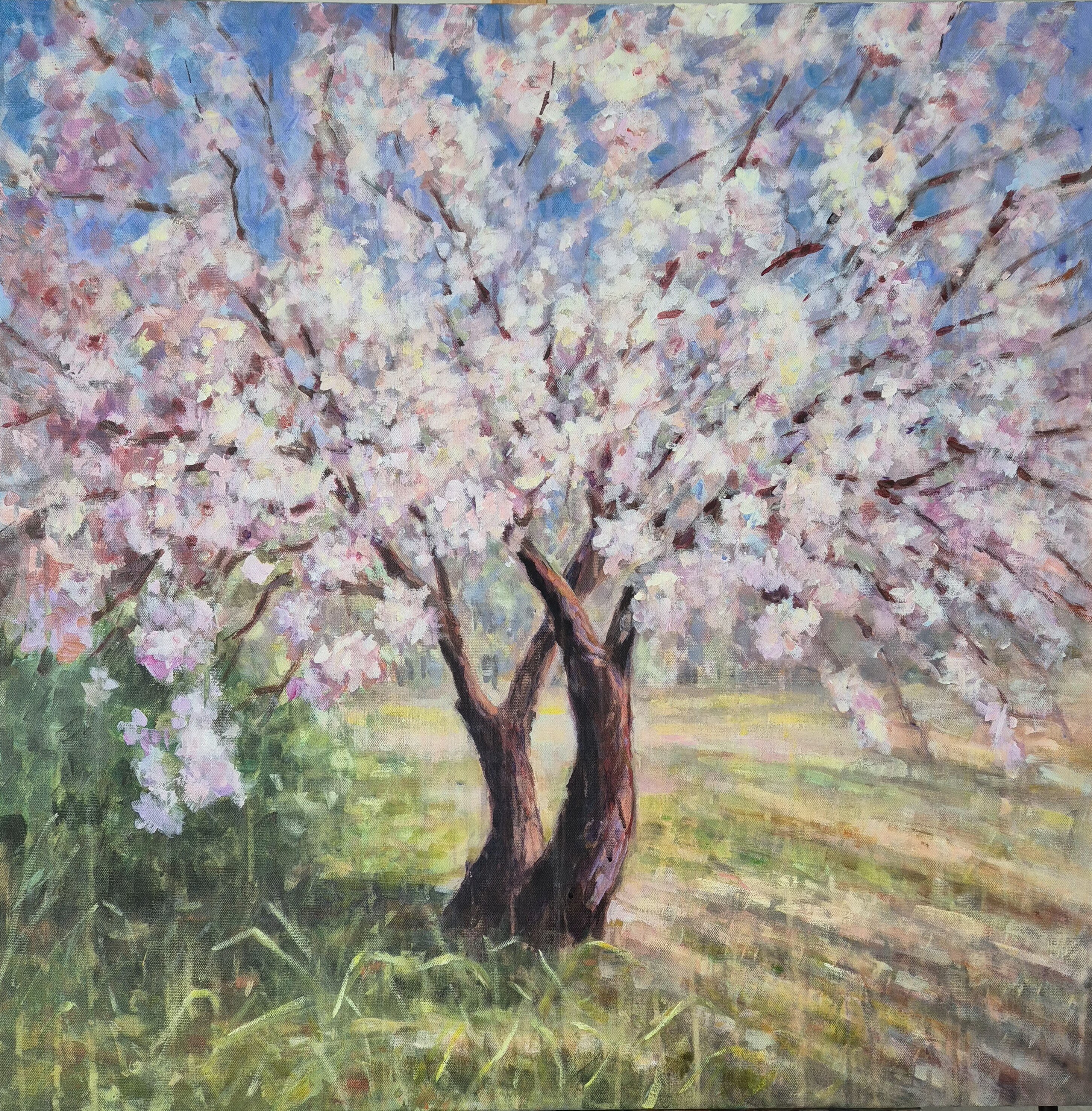 Almond Tree