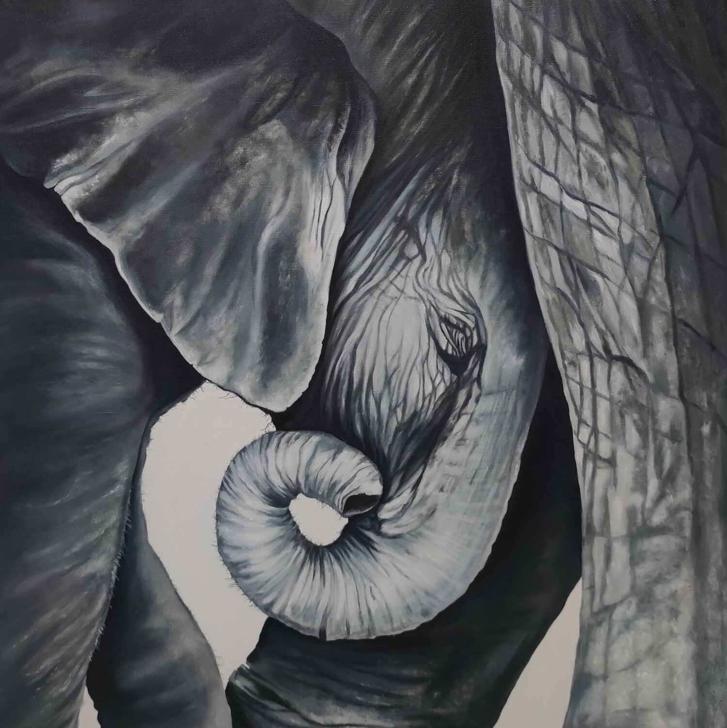 Oil Painting Elephant Premium Quality Evgeniya Duvakina Original painting for sale
