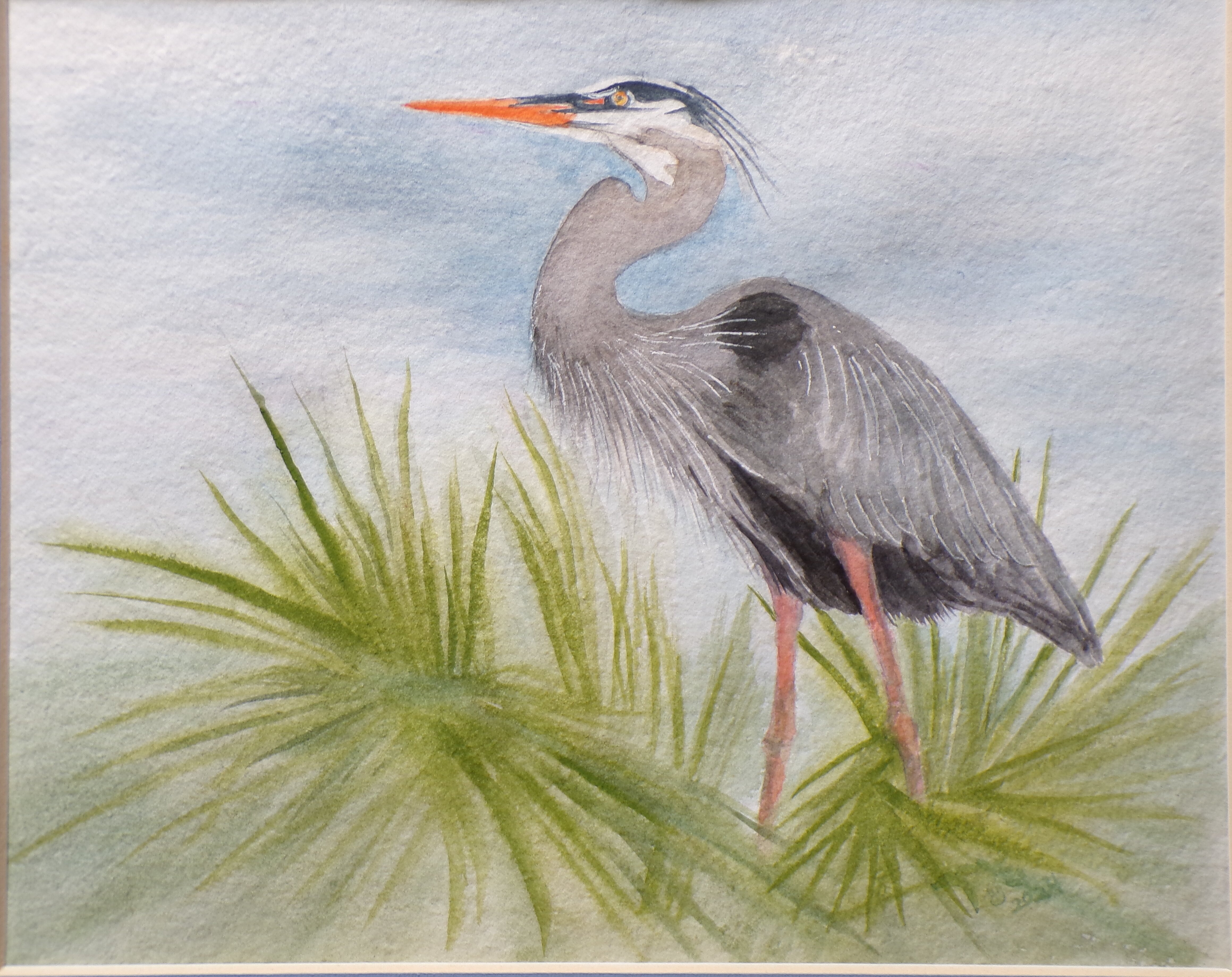 Marsh Heron
