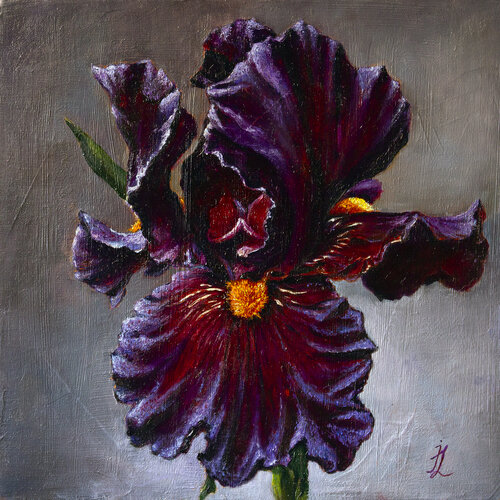 The Velvet Mystery of the Purple Iris by Inga Loginova, Painting for Sale on Select