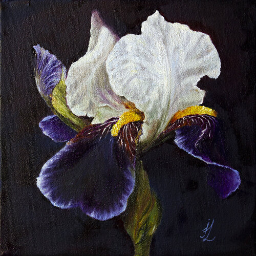 Porcelain Iris by Inga Loginova, Painting for Sale on Select