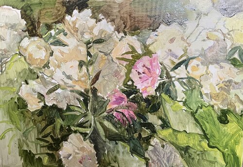 White peonies von Anna Trigub, Malerei kaufen auf Select