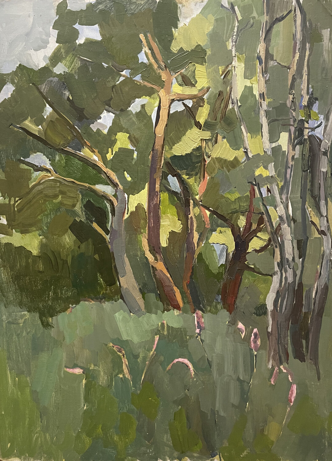 Oaks. Summer. Anna Trigub Original painting for sale
