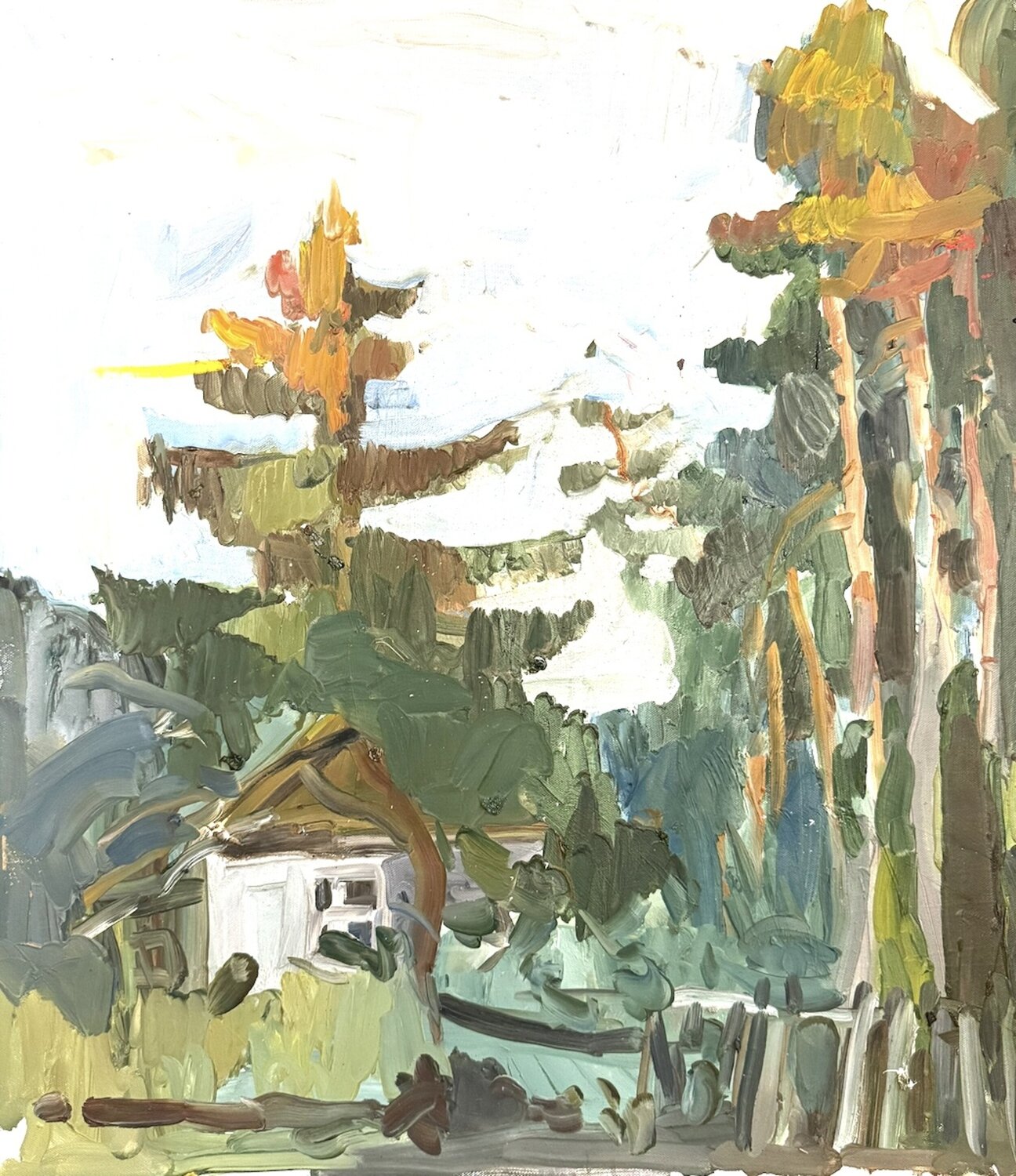 Forest . View of an old pine tree Anna Trigub Original painting for sale