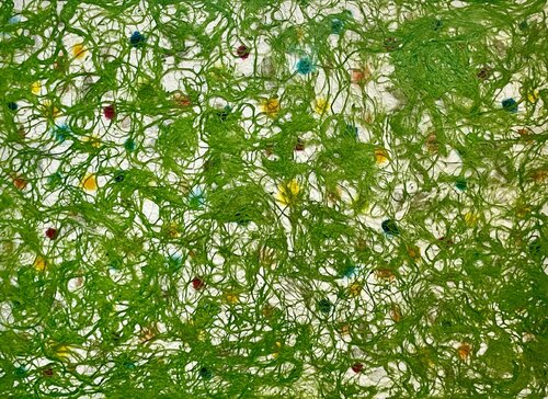 Botanical freedom - Thread nr.8 by Matteo Silva, Painting for Sale on Select