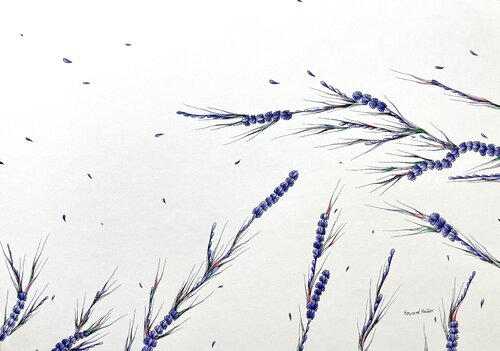 Blowing in the wind by Howard Holder, Drawing for Sale on Select