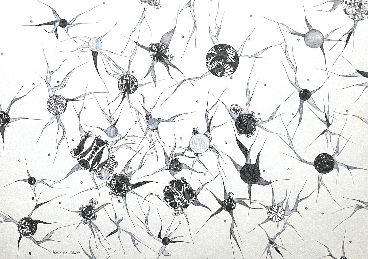 Pollination Series Howard Holder Drawing for sale