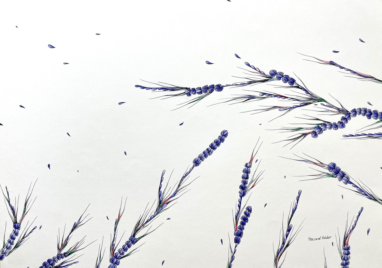 Blowing in the wind Howard Holder Drawing for sale