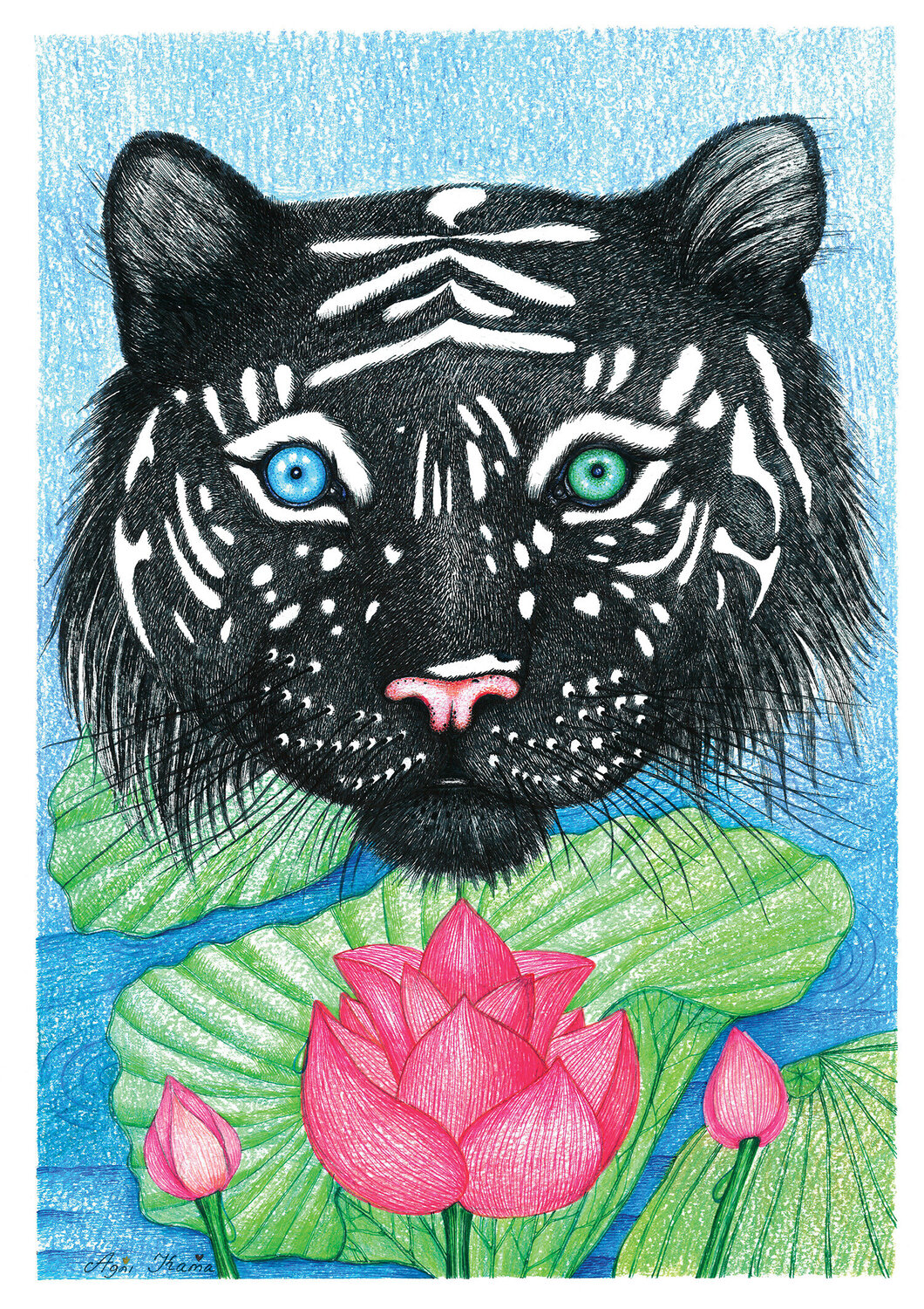 Black Tiger OLEKSANDRA PETROVSKA Drawing for sale