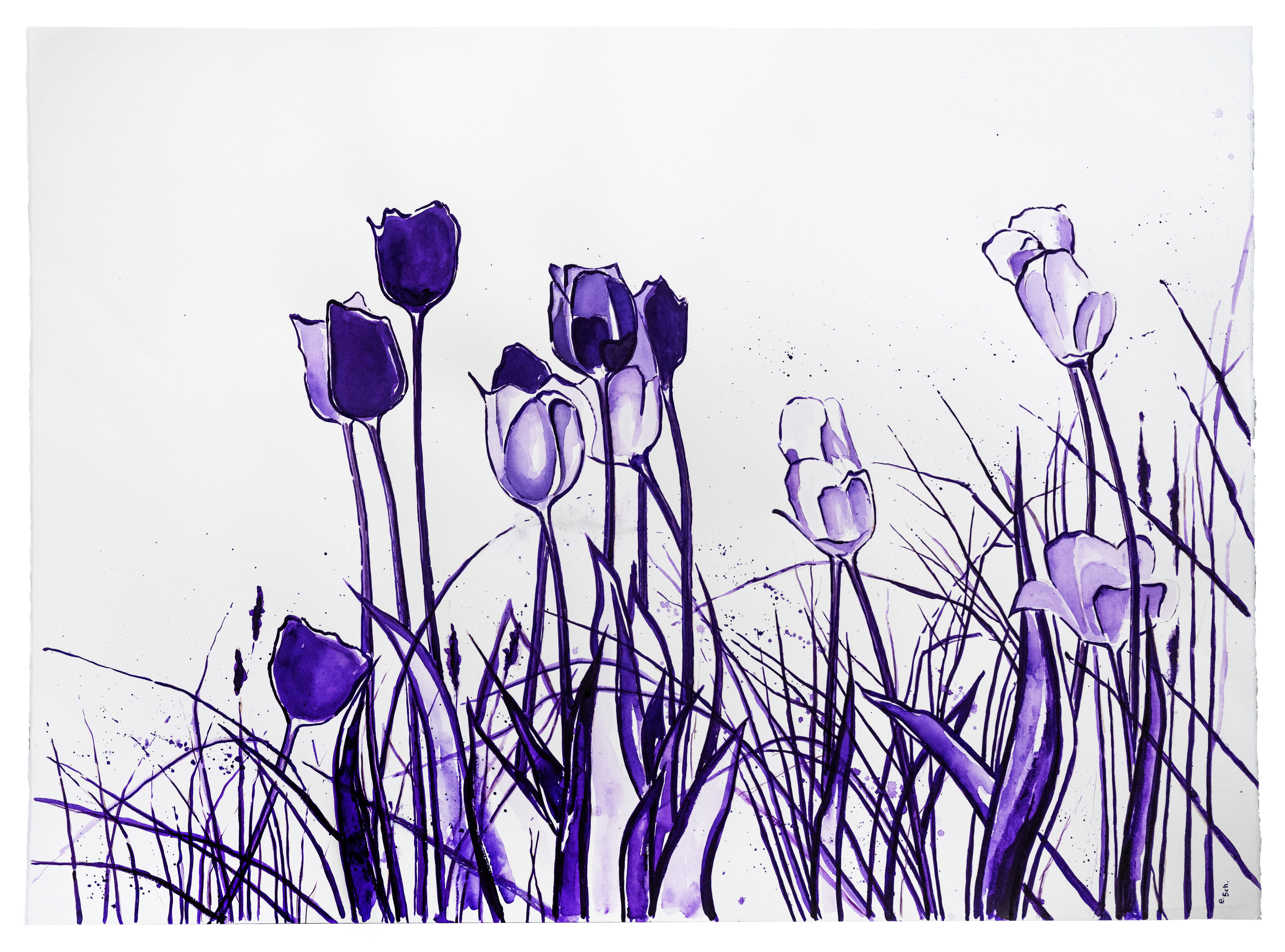 Violet Bloom