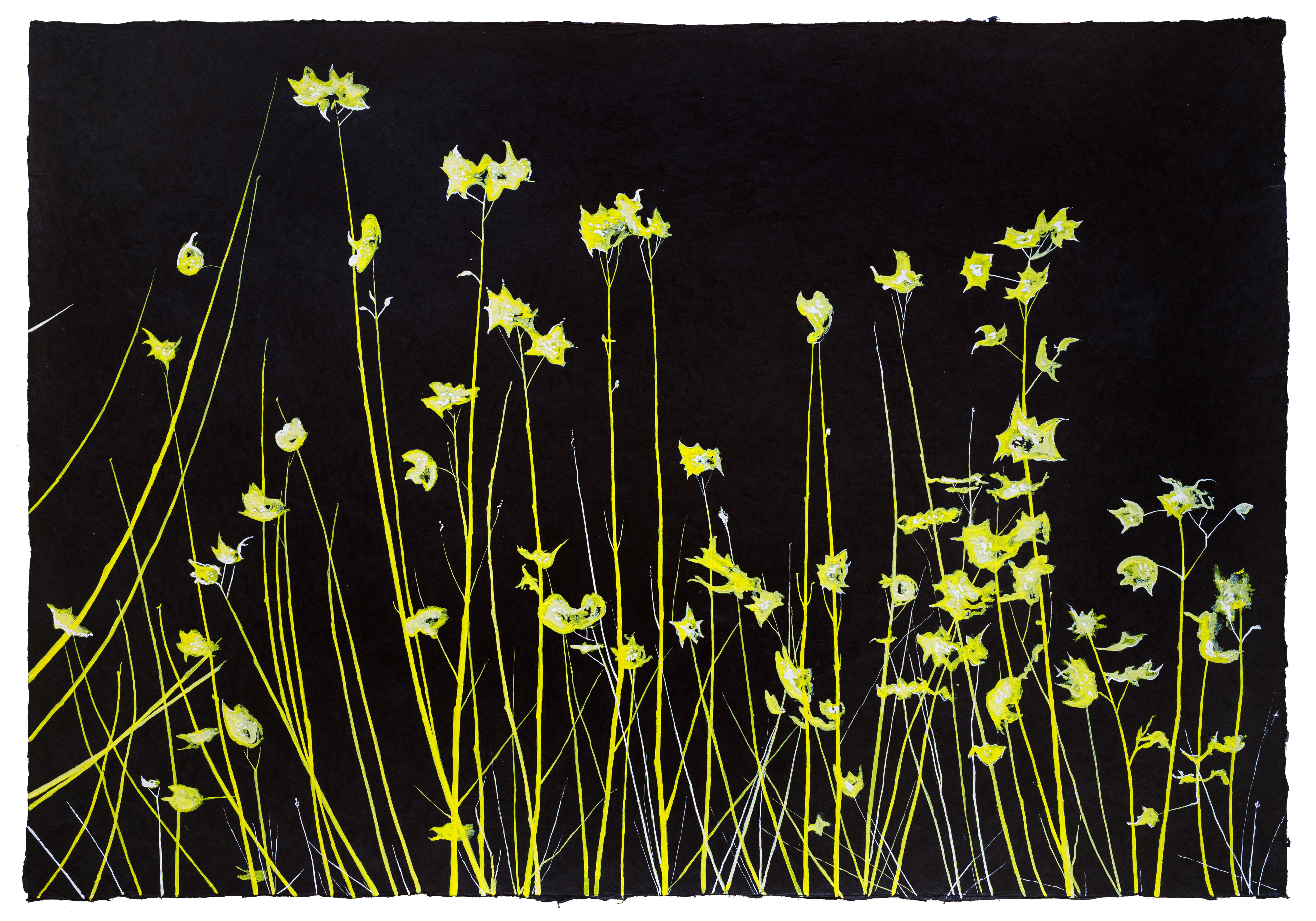 Air - Study in Yellow