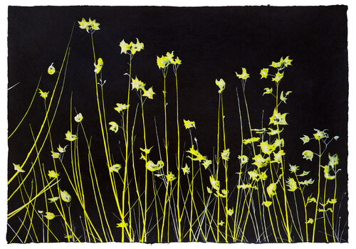 Air - Study in Yellow by Evi Schartner, Painting for Sale on Select