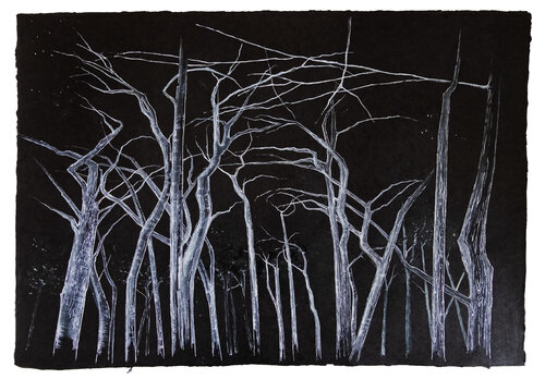 Where Silence Grows by Evi Schartner, Painting for Sale on Select