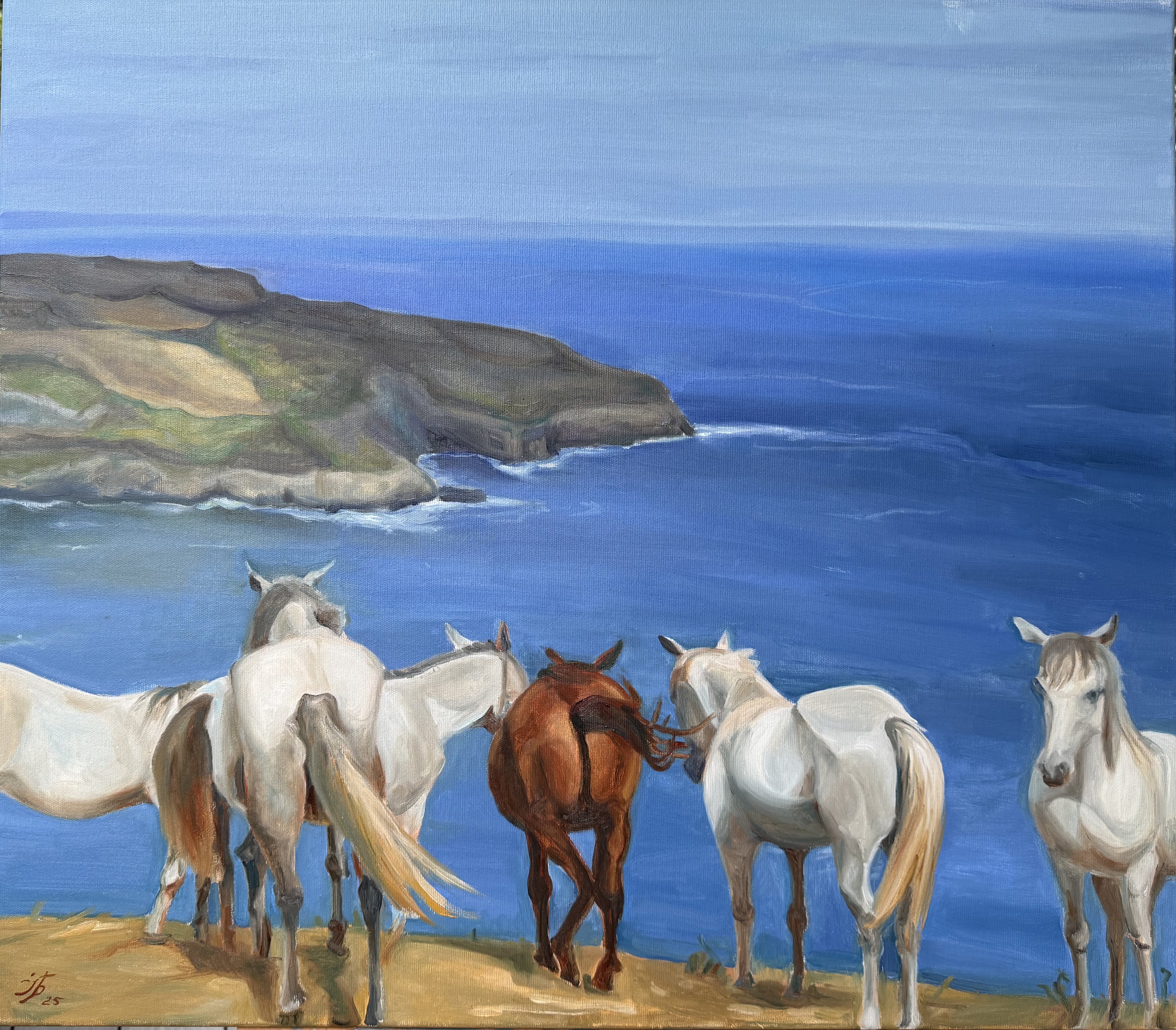 Dont push the horses