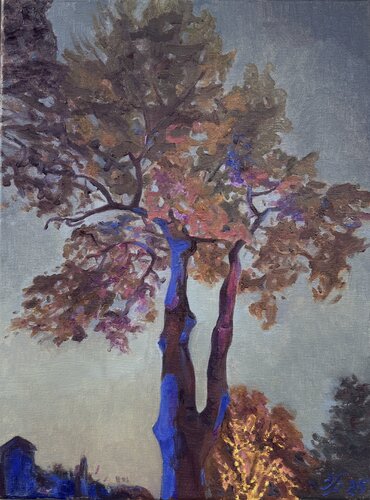 Evening Light at Cristmas by Iryna Barabash, Painting for Sale on Select
