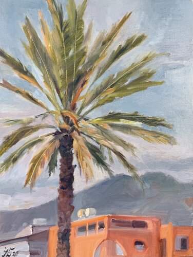 Sunlit Terrace Palm by Iryna Barabash, Painting for Sale on Select