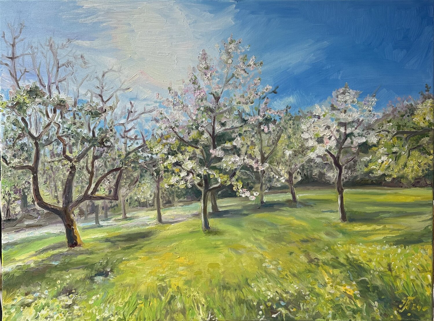 Spring in Vienna Iryna Barabash Original painting for sale