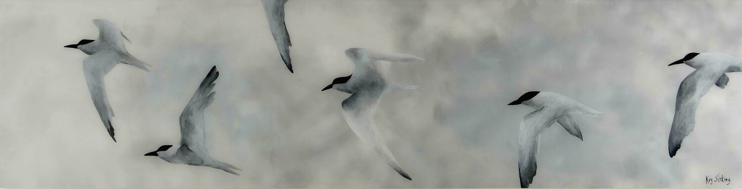Flight of Terns 5 Kay Sleking Original painting for sale