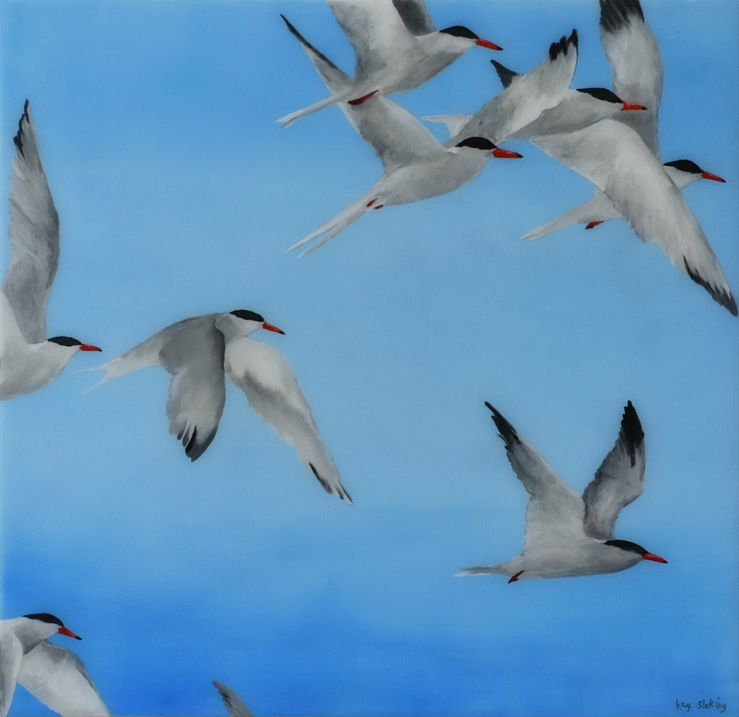 Flight of Terns 4# Kay Sleking Original painting for sale