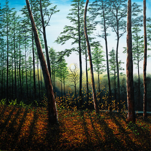 Autumn Sunset In The Forest by Hazel Thomson, Painting for Sale on Select