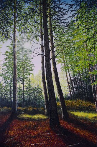 Light Through The Trees by Hazel Thomson, Painting for Sale on Select