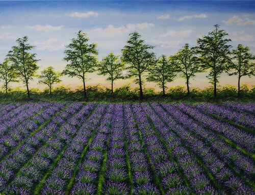 Lavender Feild At Dusk by Hazel Thomson, Painting for Sale on Select